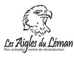 Aigle du Léman